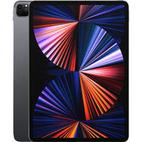 iPad Pro 12.9'' (2021) 256Go Gris Espace